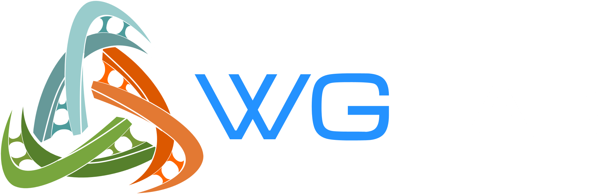 Wang Lab